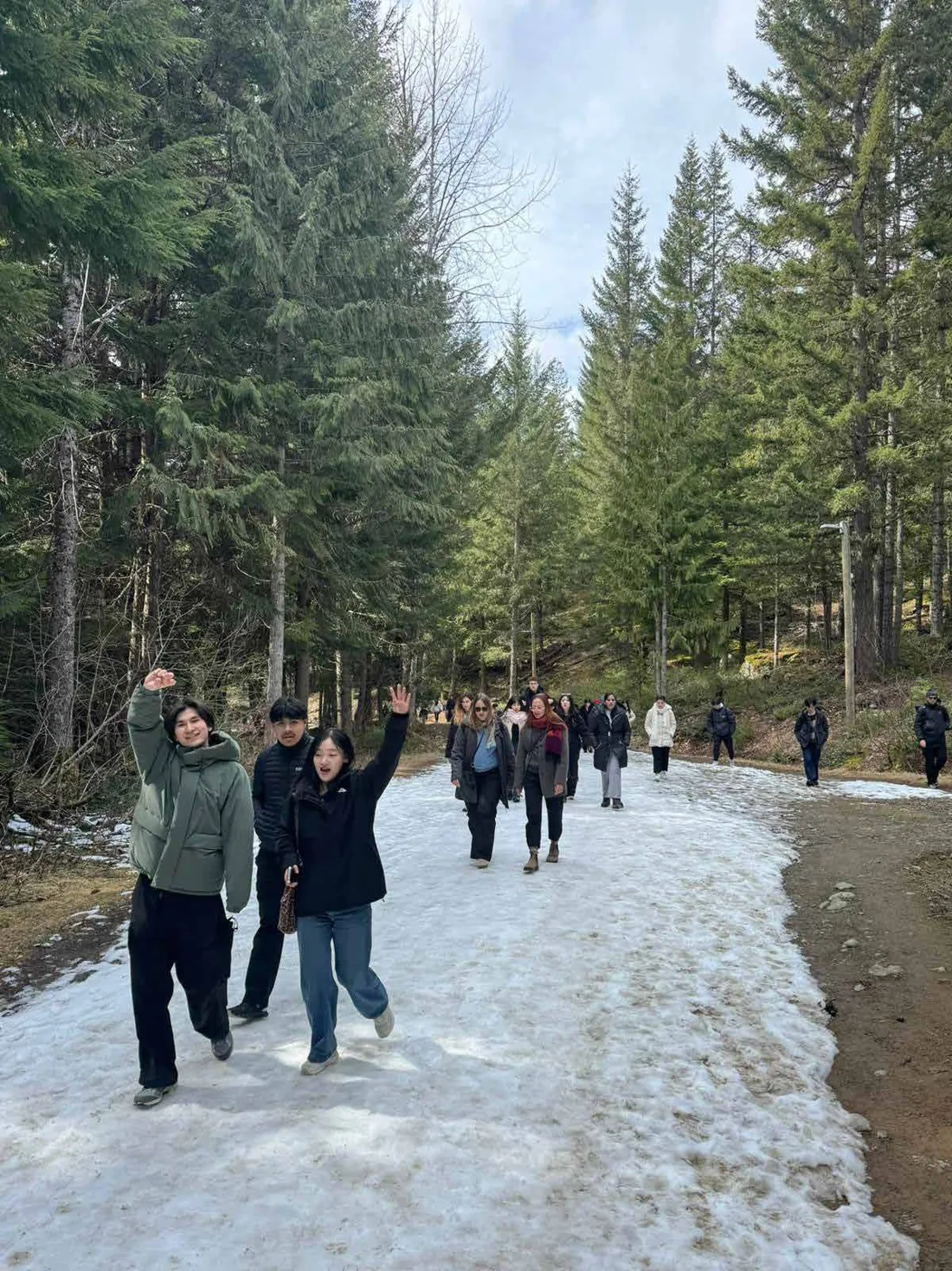 Students exploring a forest trail together in winter