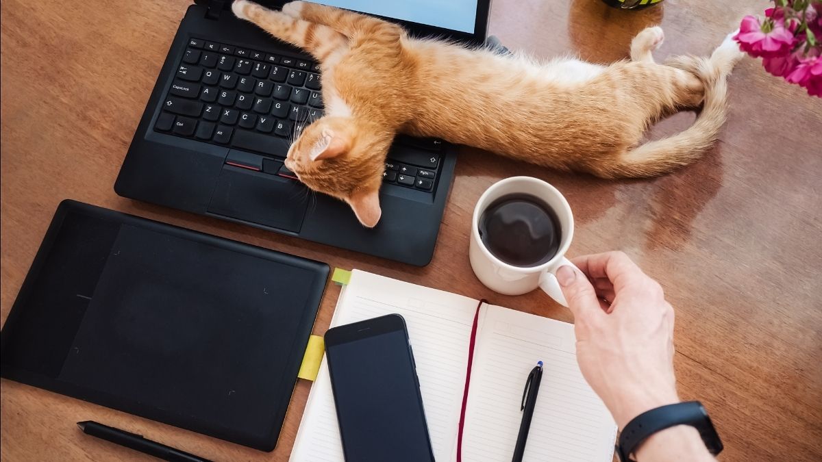 high paying student freelance jobs